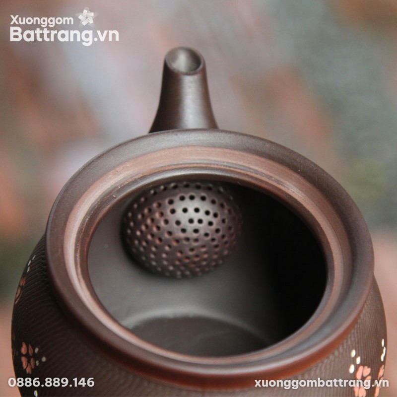 loc-tra-cua-bo-tra-tu-sa-ve-hoa