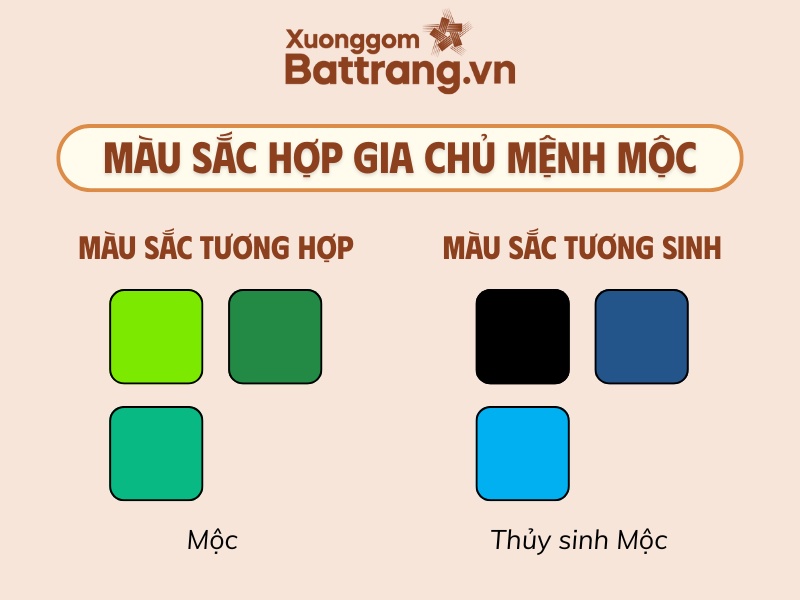 Màu sắc hợp gia chủ mệnh Mộc